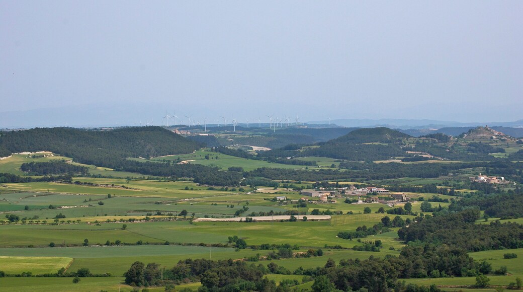 Plans de la capçalera de la riera de Clariana des d'Aguiló (Anoia)