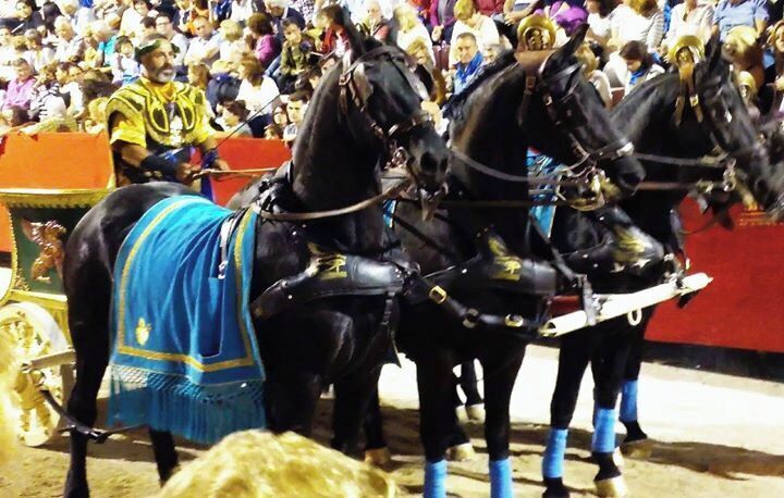 The Semana Santa parades in Lorca with the Paso Azul & Paso Blanco paternities originally dating back to the 15th Century famed for the passion, embroidery & horsemanship involved.

Here chariot racing in the main street
