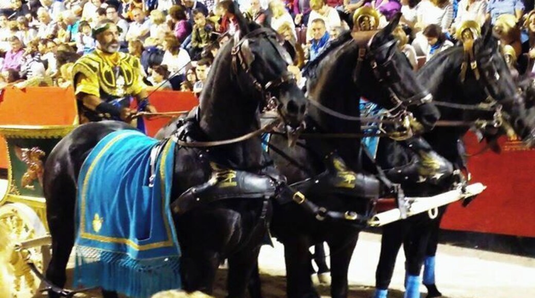 The Semana Santa parades in Lorca with the Paso Azul & Paso Blanco paternities originally dating back to the 15th Century famed for the passion, embroidery & horsemanship involved.
Here chariot racing in the main street