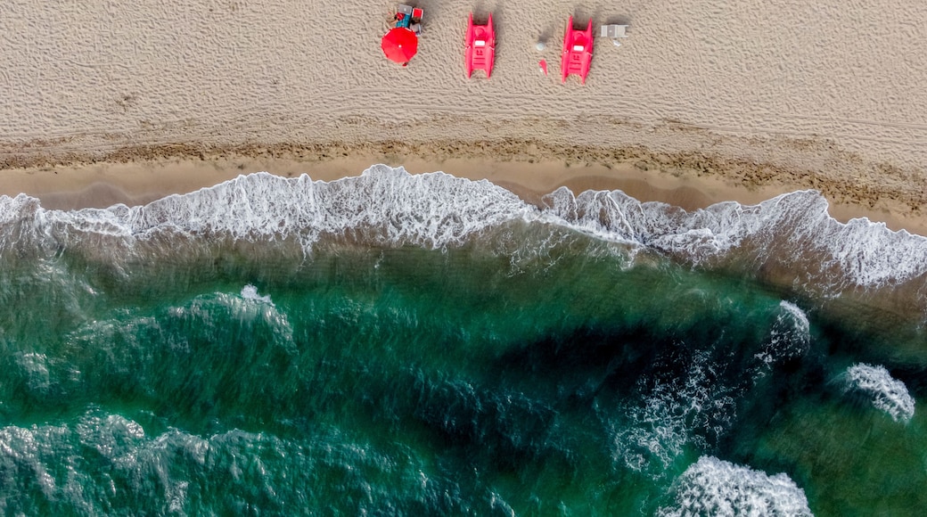Aerial view of umbrella on the beach along the shoreline facing the Mediterranean Sea, Capaccio, Paestum, Campania, Italy.