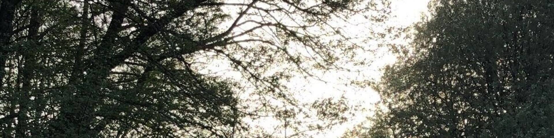 This area called ``Valle del Jerte´´ with a lot of paths and wild nature walk tracks is where the Cherry trees bloom creating a nice white view in between the valley like if the mountains are snowed.
Here we have one of the many walk tracks.
#ValledelJerte #LifeatExpedia