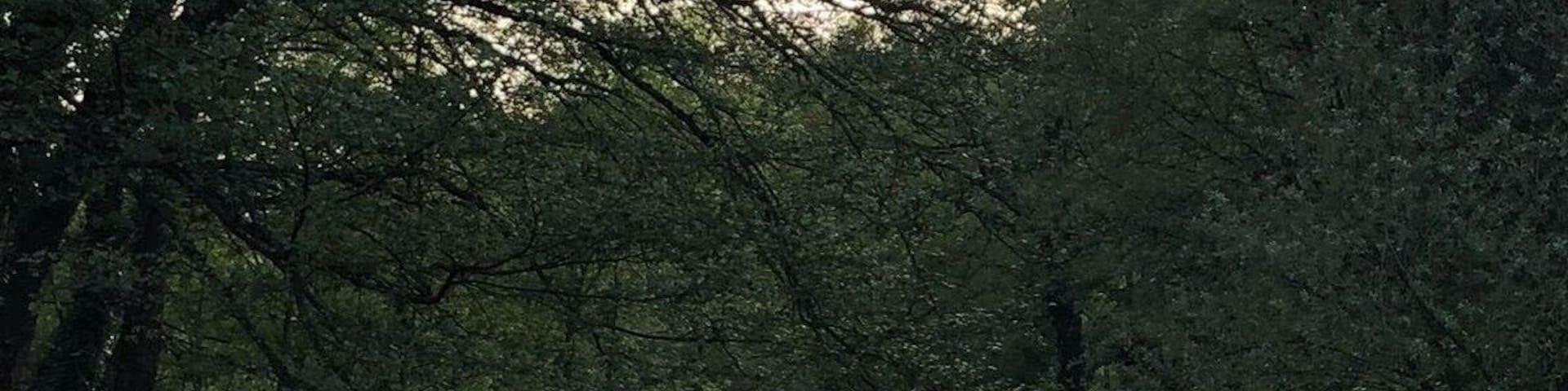 This area called ``Valle del Jerte´´ with a lot of paths and wild nature walk tracks is where the Cherry trees bloom creating a nice white view in between the valley like if the mountains are snowed.  
Here we have one of the many walk tracks. 
#ValledelJerte #LifeatExpedia