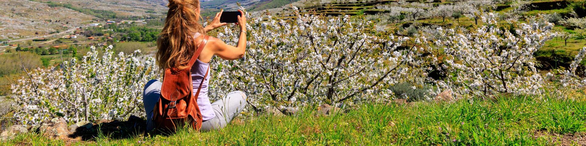 Woman taking picture of Jerte vale, Estramadura in Spain in spring, cherry blossom