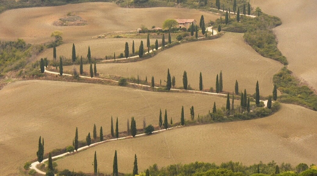 Not the best time of the year to photograph the cypress road (this was mid October) but the viewpoint is amazing! The photo is taken from the road that goes behind La Foce, it’s a public road.
