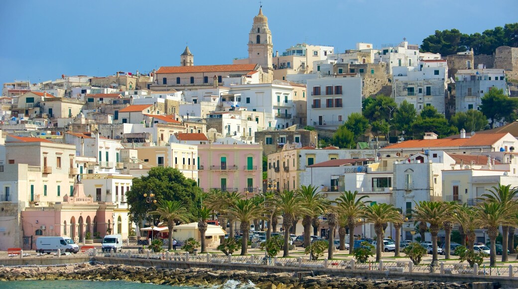 Vieste som inkluderer by