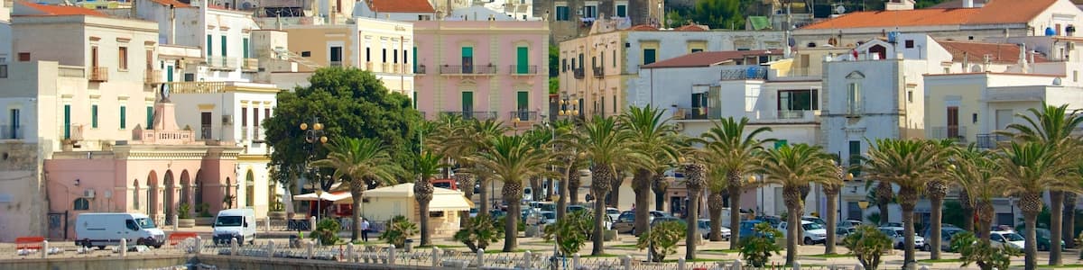 Vieste qui includes ville