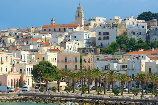 Vieste mostrando città