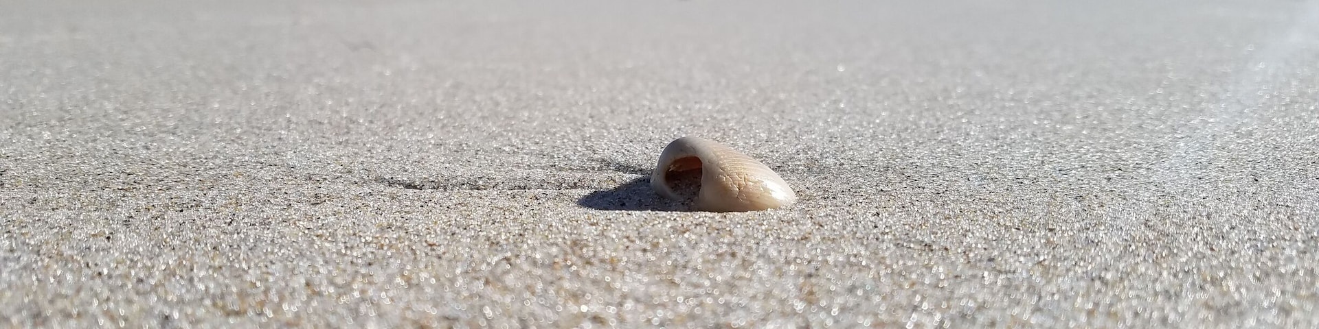From our walk along Vero Beach