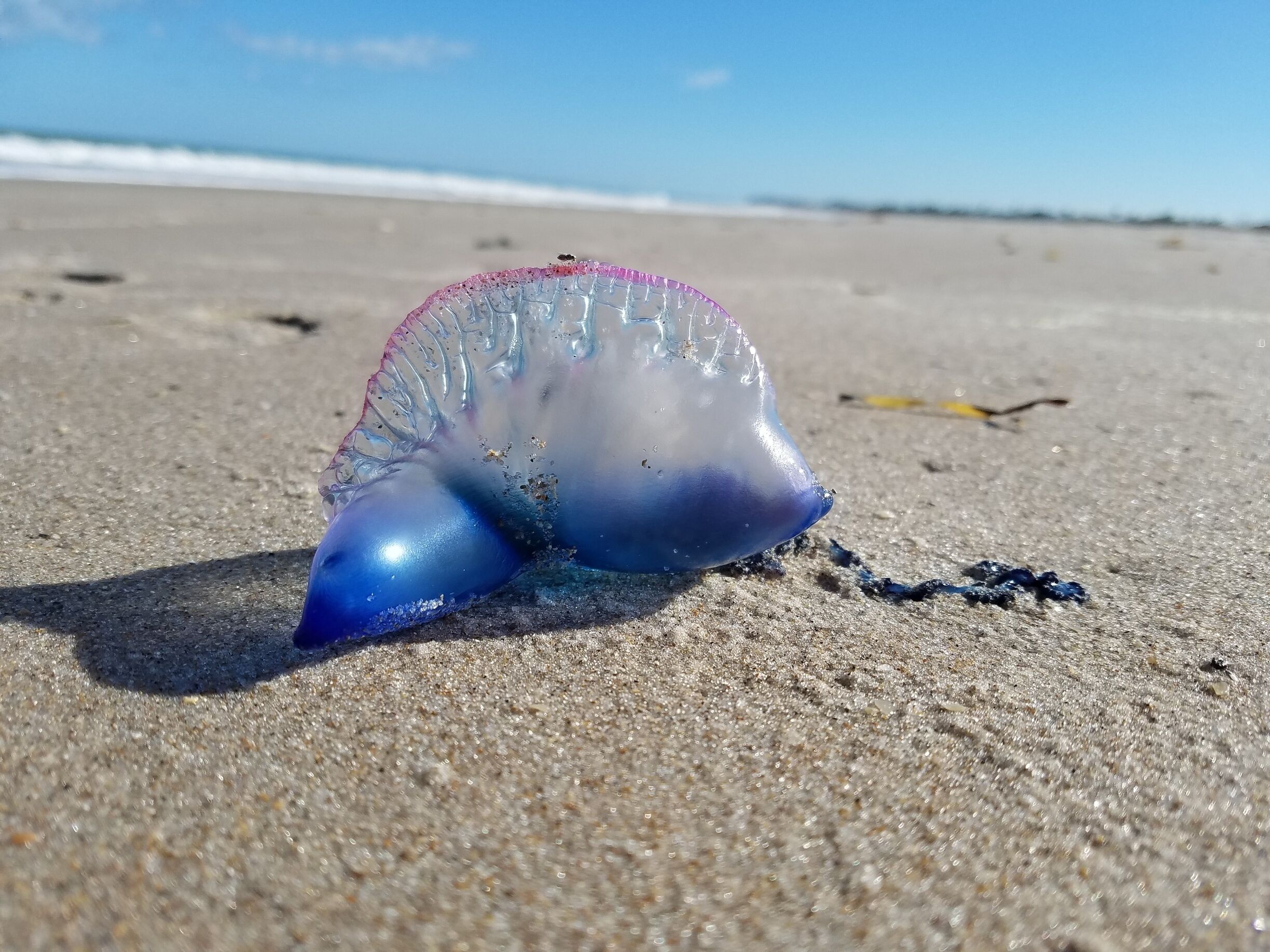 Condado de Indian River