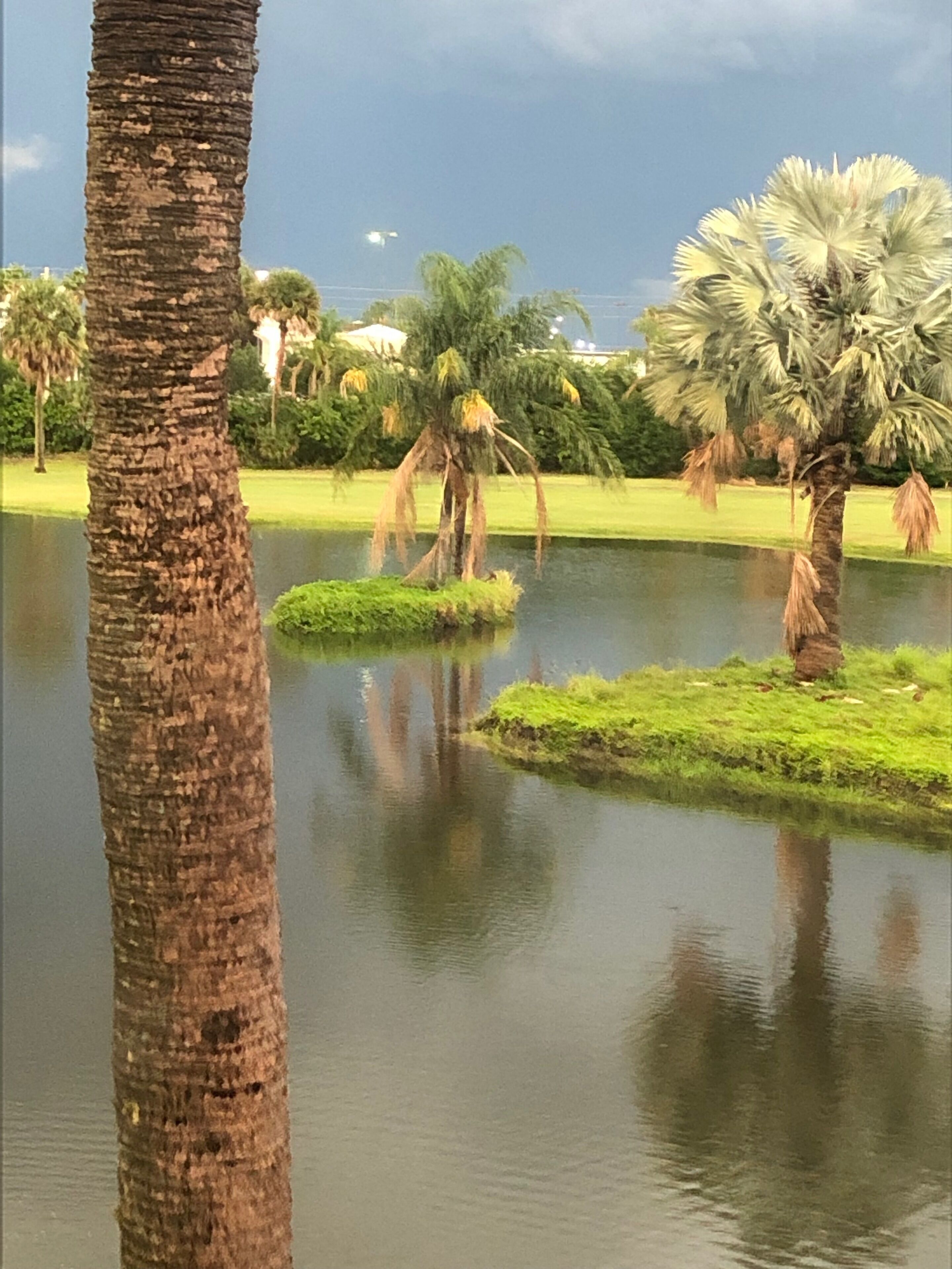 This was right after huge rain storm. Such an eerie sky.