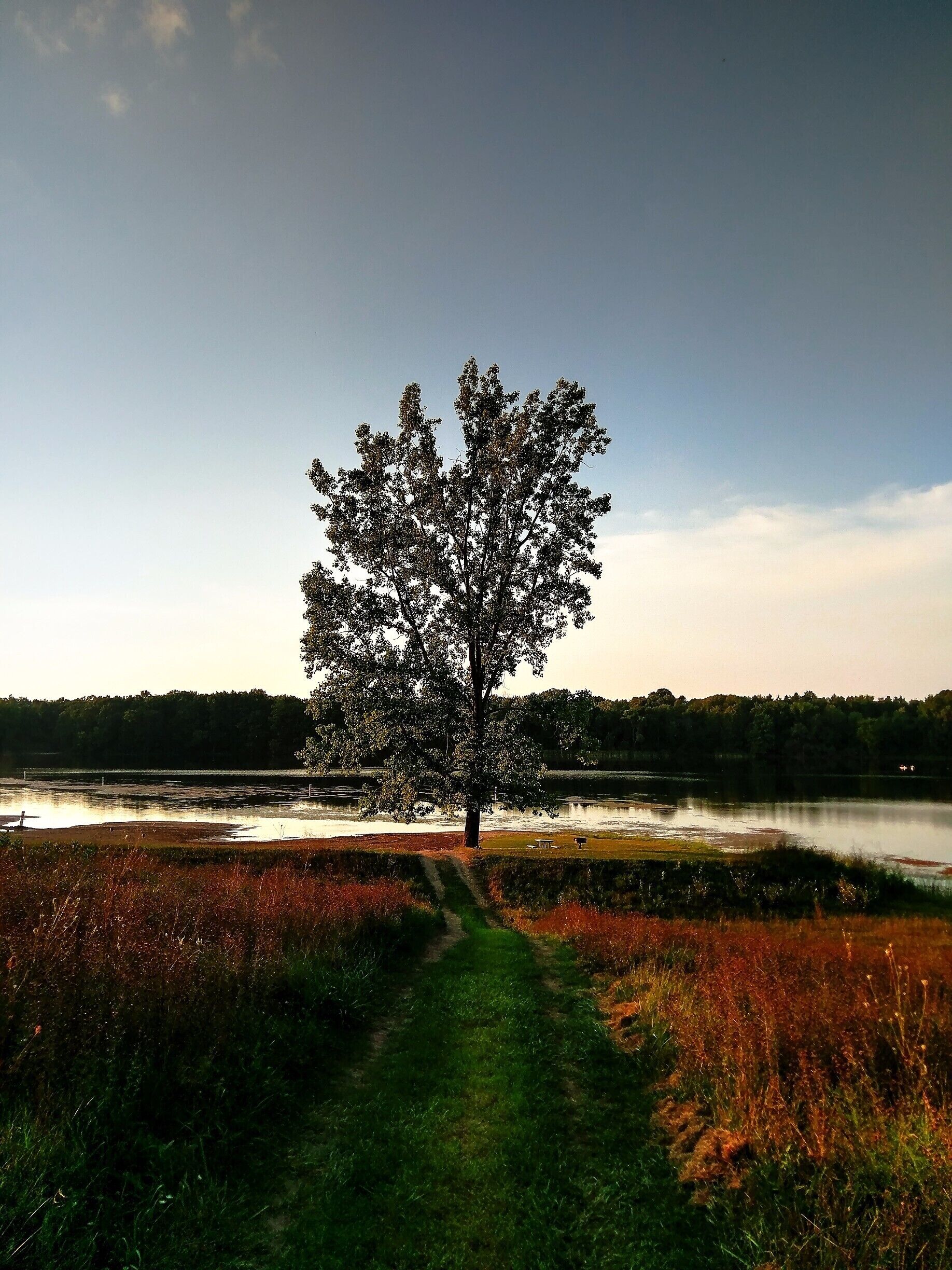 'Nature' beholds the 'Future'

The only thing that has been witnessing the millions of generations and evolution is our nature for it is pure and filled with serenity. It deserves more than what you do.! So show some respect and save it for the future generations to come for a better tomorrow.

#give_to_remember #future_generations #new_life #give_hope #mother_earth #save_nature #nature