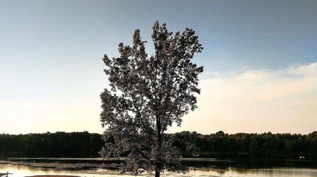 'Nature' beholds the 'Future'
The only thing that has been witnessing the millions of generations and evolution is our nature for it is pure and filled with serenity. It deserves more than what you do.! So show some respect and save it for the future generations to come for a better tomorrow.
#give_to_remember #future_generations #new_life #give_hope #mother_earth #save_nature #nature