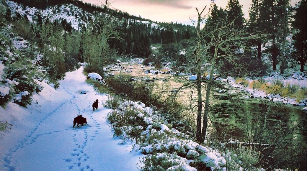 Nothing like a day on the Truckee