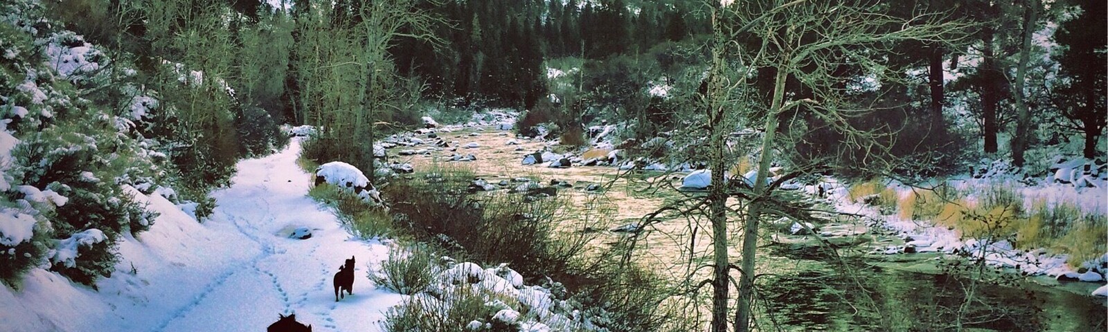 Nothing like a day on the Truckee