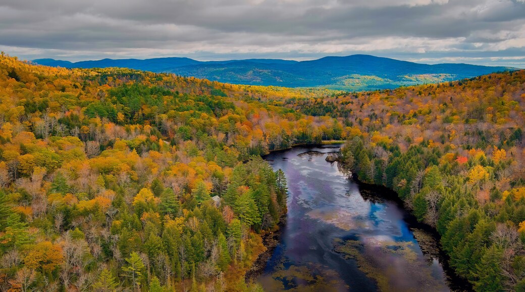 Autumn forest on the riverside, marvel at the amazing views of the autumn river. Campton, New Hampshire