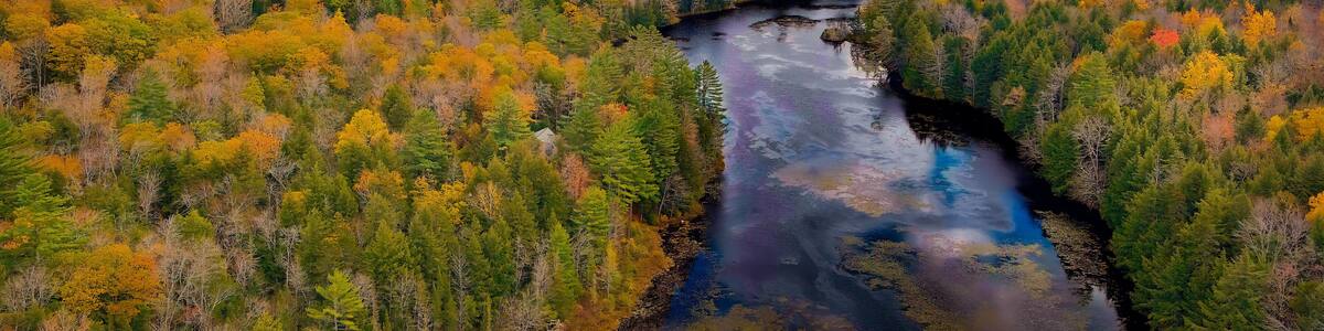 Autumn forest on the riverside, marvel at the amazing views of the autumn river. Campton, New Hampshire