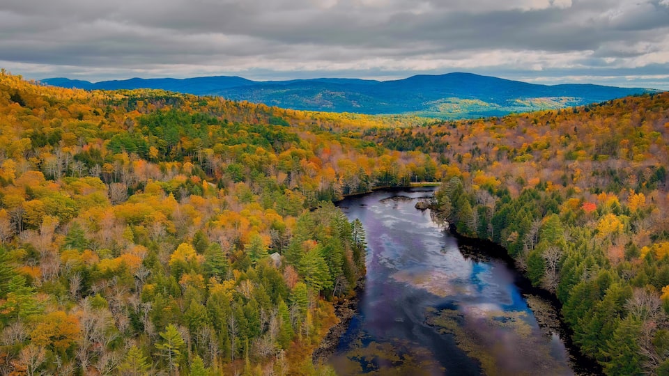 A river winding through a forest with autumn foliage.