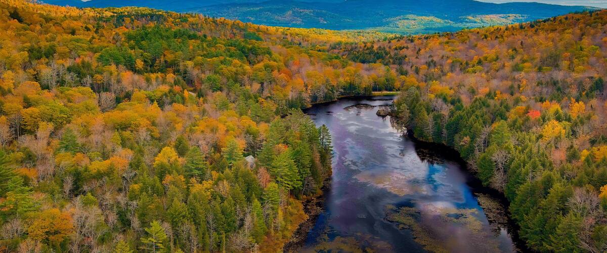 Autumn forest on the riverside, marvel at the amazing views of the autumn river. Campton, New Hampshire