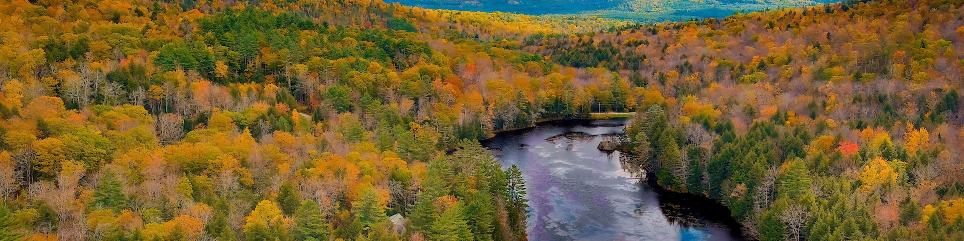 Autumn forest on the riverside, marvel at the amazing views of the autumn river. Campton, New Hampshire