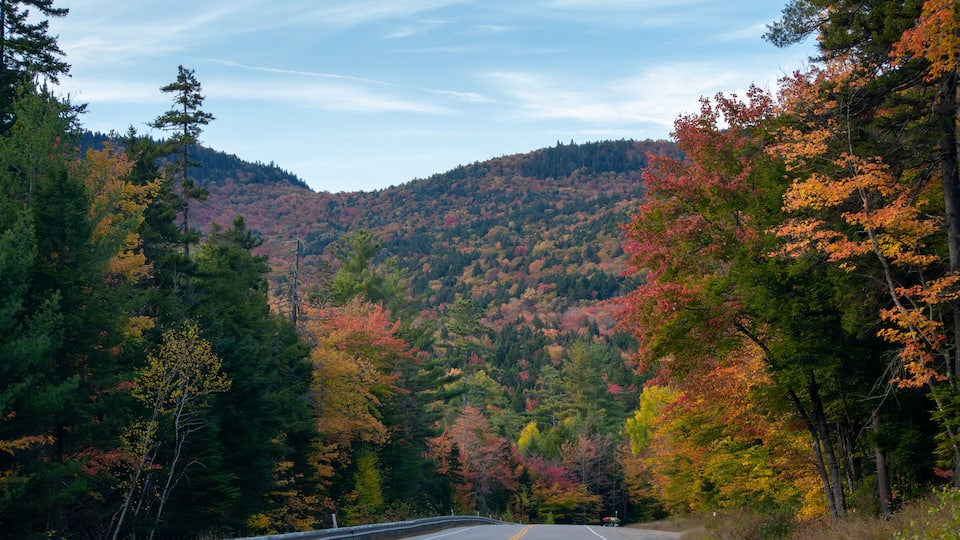 A road flanked by autumn-colored trees and a forested hill.