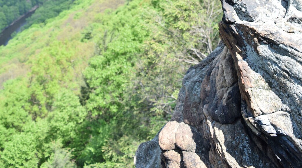 The amazing view at the top of Hawk Rock near Duncannon, PA. Unfortunately I went on a day when the mosquitoes were a bit aggressive and ended up with a few lovely bites.
#hiking