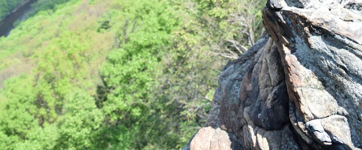 The amazing view at the top of Hawk Rock near Duncannon, PA. Unfortunately I went on a day when the mosquitoes were a bit aggressive and ended up with a few lovely bites.
#hiking
