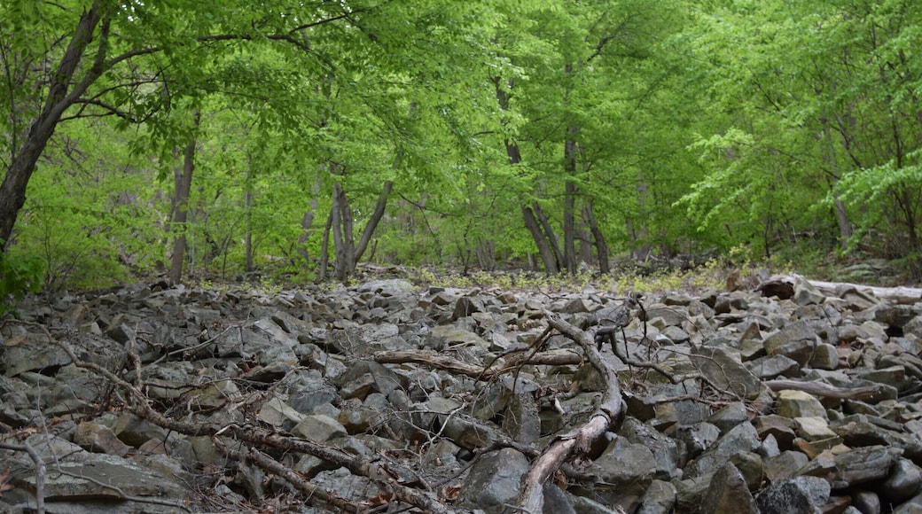 A beautiful hike up to hawk rock in Duncannon, PA. This was a section halfway up that is part of the Appalachian Trail. You climb approximately one mile and 750 feet in elevation and at the top is a beautiful view of the meeting of the Juniata Creek and Susquehanna River.
#hiking