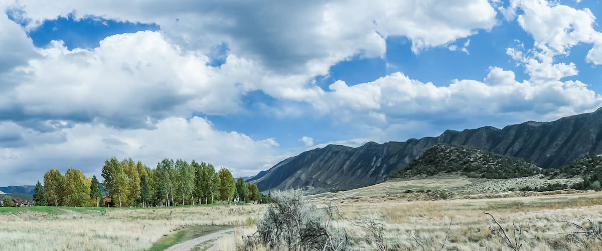 A mountainous landscape with a clear sky, a dirt path, and a cluster of trees.
