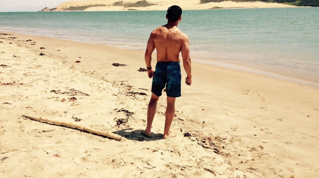 Famous for big sand dunes, nearby huge kauri trees & fabulous views