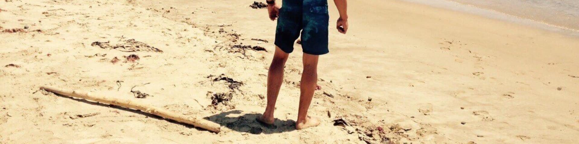 Famous for big sand dunes, nearby huge kauri trees & fabulous views