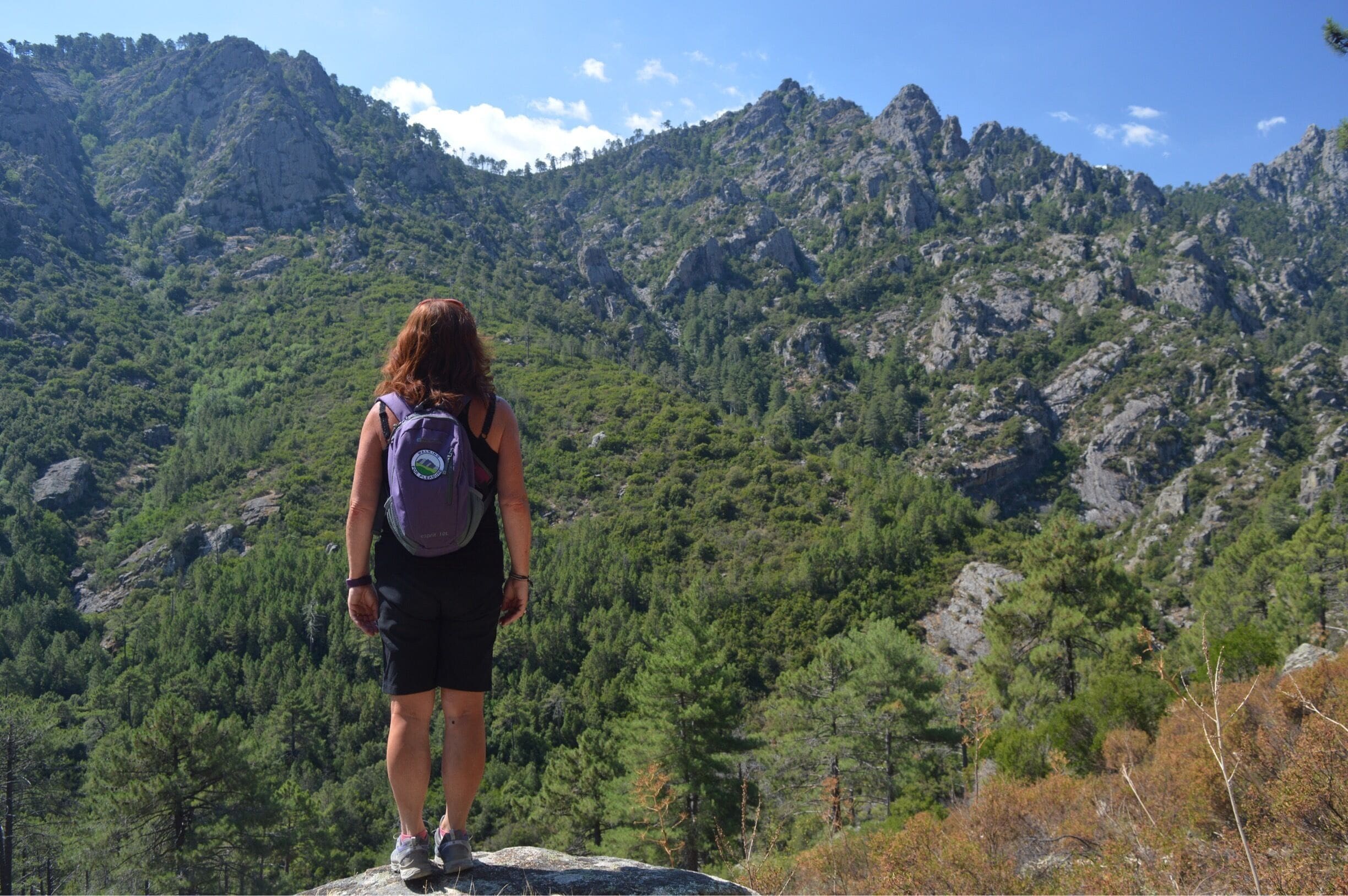 Stunning views on a great hike; 12 miles, recommended 