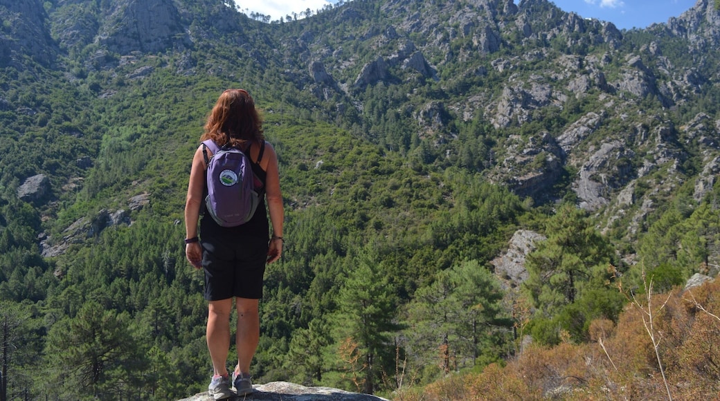 Stunning views on a great hike; 12 miles, recommended