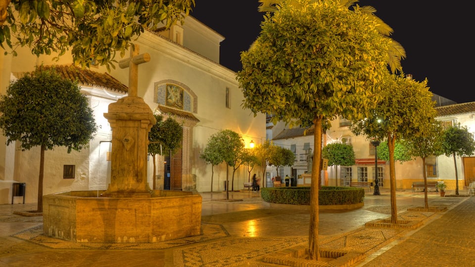 A historic plaza with a fountain, trees, and a white building with a tiled roof.