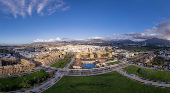 San Pedro de AlcĂĄntara