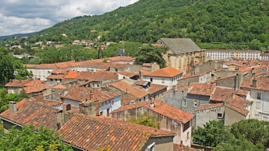 View over the rooftops from the château.