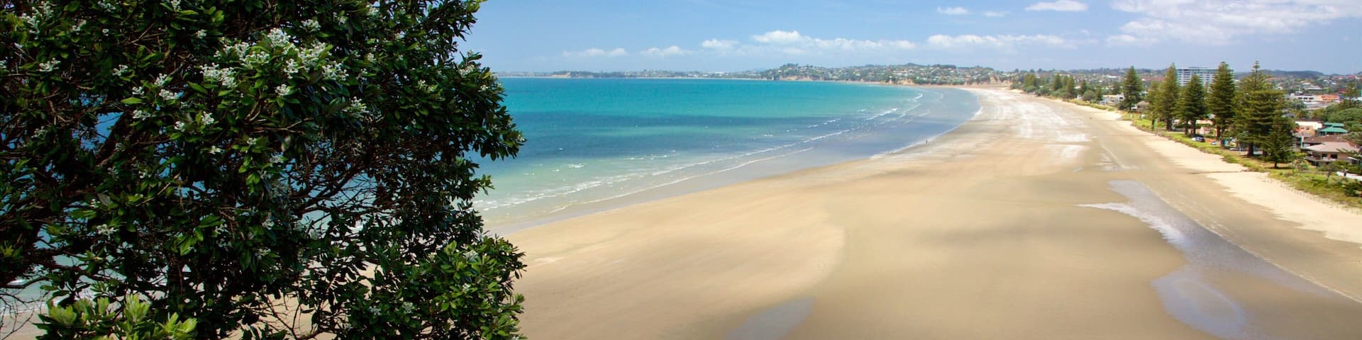 A beach with clear turquoise water, sandy shore, and green foliage.