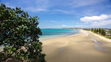 Una playa con agua turquesa cristalina, orilla arenosa y follaje verde.
