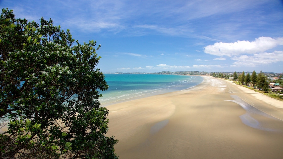 Ein Strand mit klarem türkisblauem Wasser, Sandstrand und grüner Vegetation.