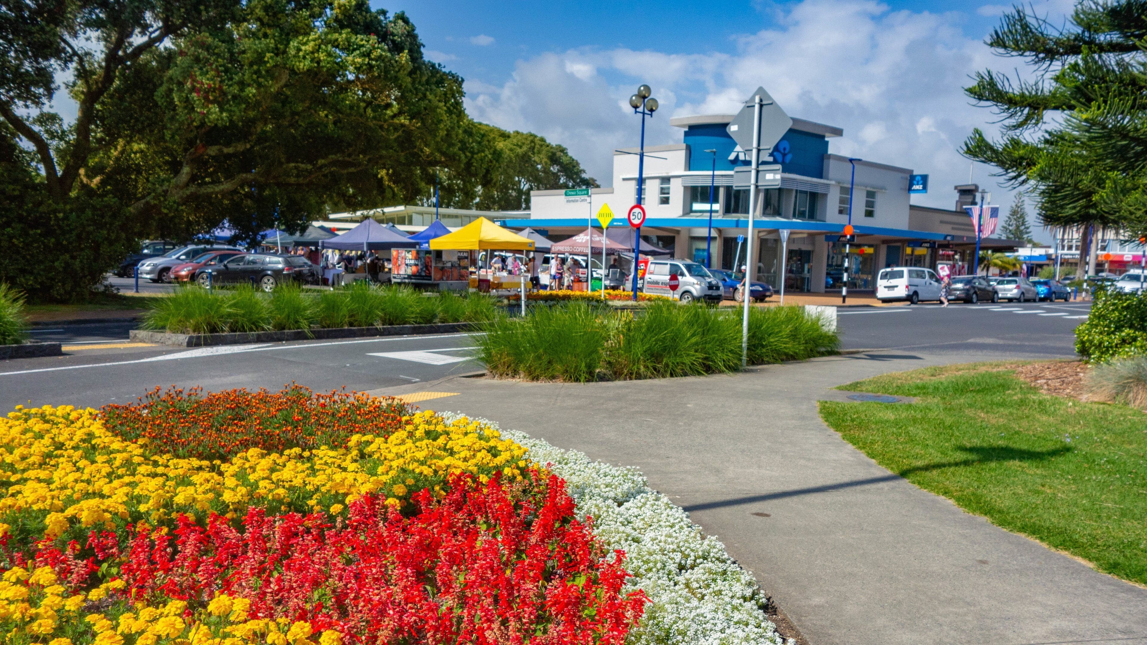 Orewa showing flowers and a garden