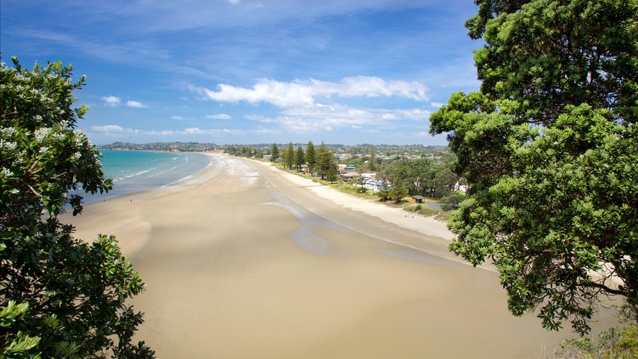 A beach with clear turquoise water, sandy shore, and lush green trees.