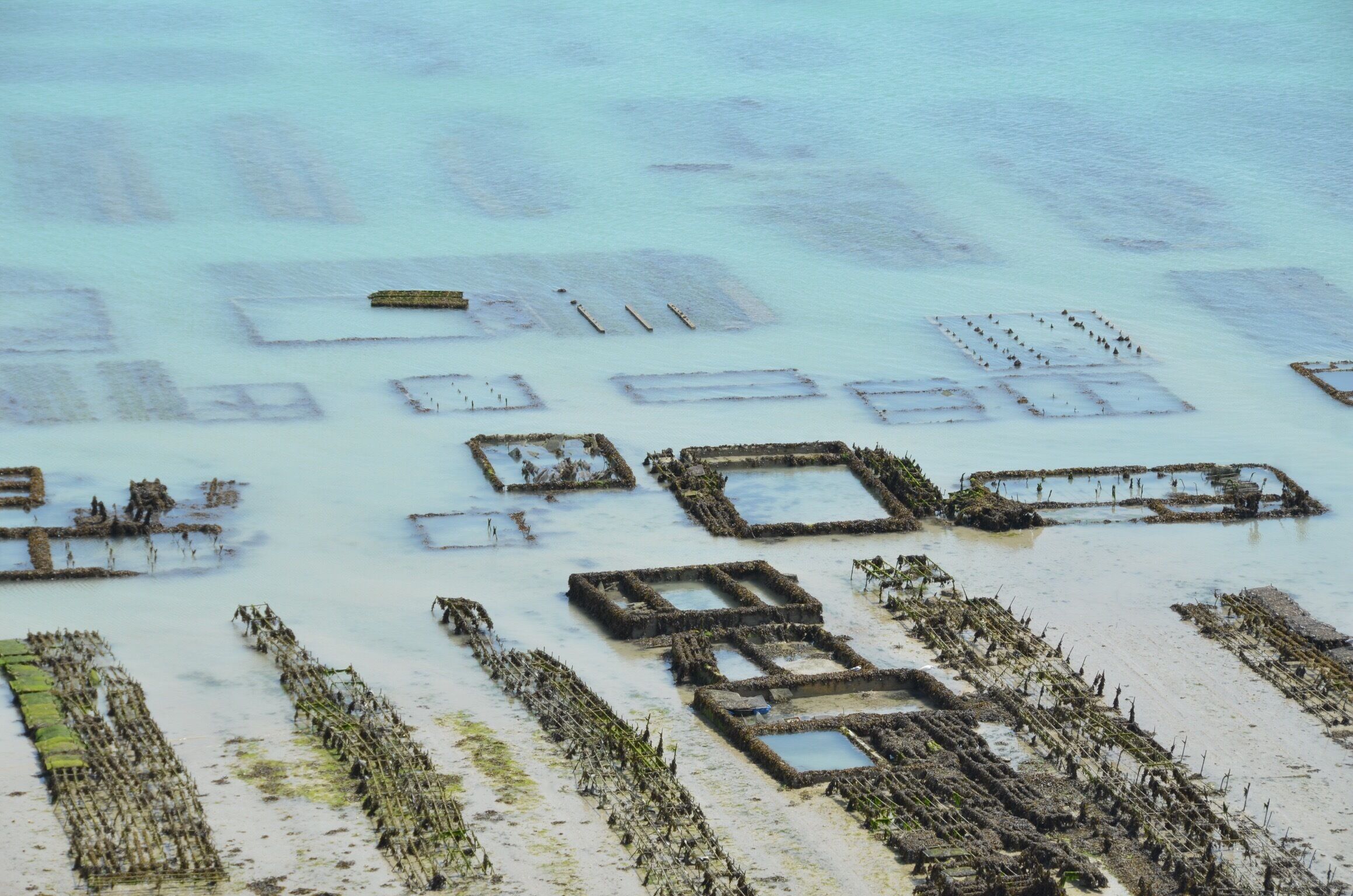 Oysters park in Cancale, Brittany, France. Beautiful turquoise blue...