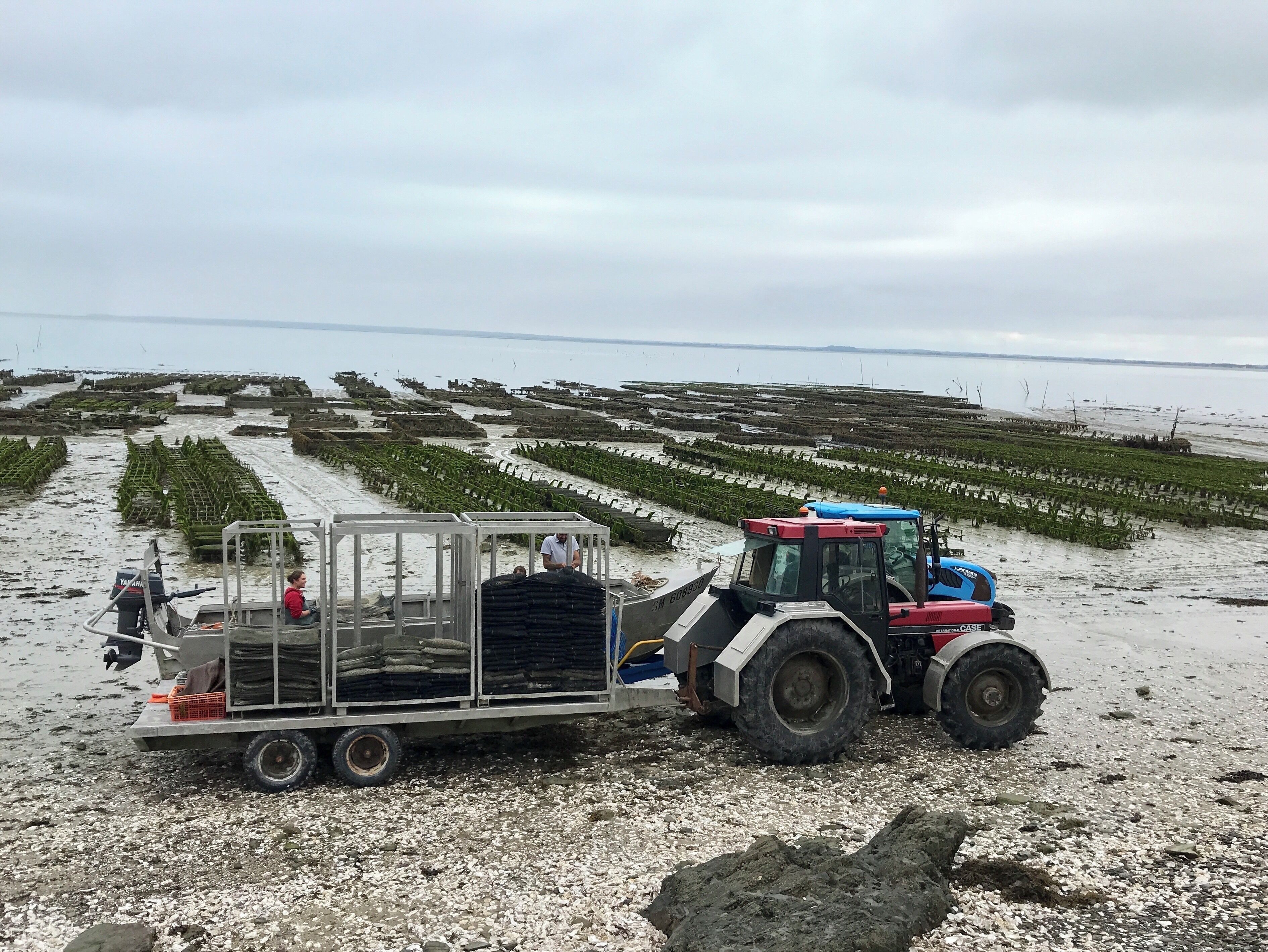 Oyster park (farm) and market. Paradise for oyster gourmands .... me... I just enjoyed the view 😁 #lovetravelaround