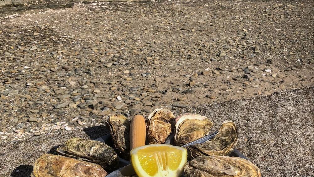 Where is the best place to eat oysters?
@Cancale of course, directly from the oysters farm to your dish, 5€ for 12 and the smile is free 😊
#TroveOnTuesday