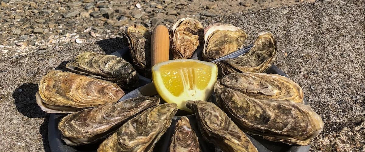 Where is the best place to eat oysters?
@Cancale of course, directly from the oysters farm to your dish, 5€ for 12 and the smile is free 😊
#TroveOnTuesday