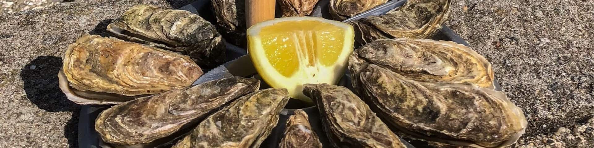 Where is the best place to eat oysters?
@Cancale of course, directly from the oysters farm to your dish, 5€ for 12 and the smile is free 😊
#TroveOnTuesday