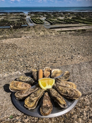 Where is the best place to eat oysters?
@Cancale of course, directly from the oysters farm to your dish, 5€ for 12 and the smile is free 😊
#TroveOnTuesday