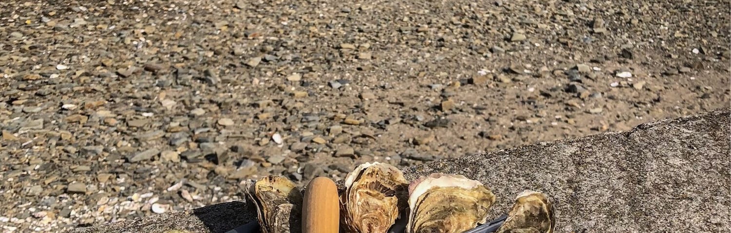 Where is the best place to eat oysters?
@Cancale of course, directly from the oysters farm to your dish, 5€ for 12 and the smile is free 😊
#TroveOnTuesday