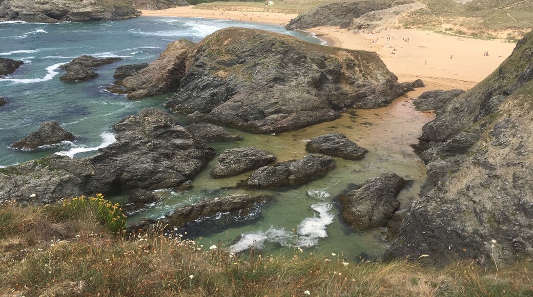 A Long Beach in Belle Ăźle
You can have a trek from there to Port coton
Just go along the coast
#france
#nature
#belle-Ăźle