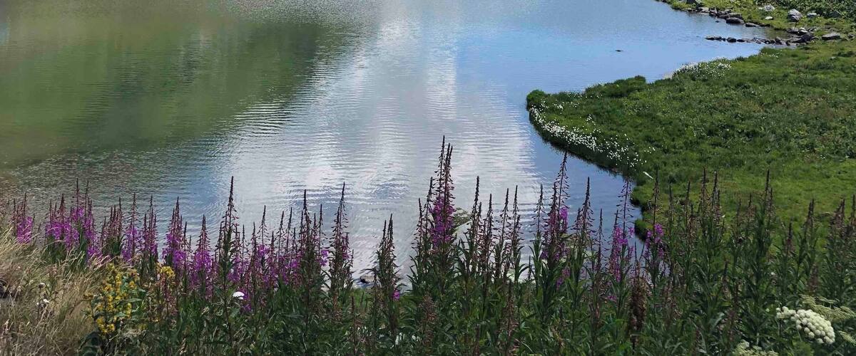 Scenes from atop the Gotthard Pass enroute to Ticino
#switzerland
#ticino
#roadtripscenery