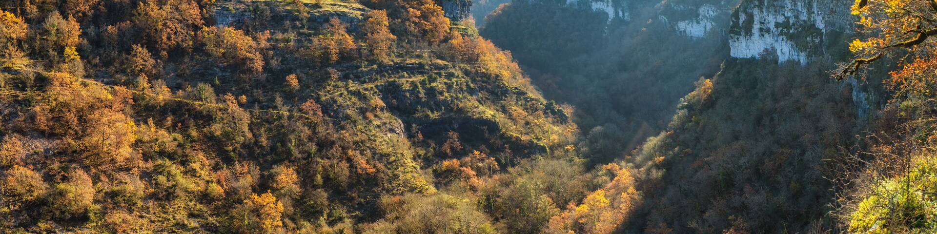 Steep sided tree lined canyon plunging down to the Alzou river near Gramat in the Lot region of France